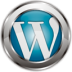 WordPress Consulting