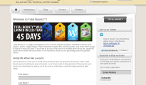 Social Media Management (SMM)